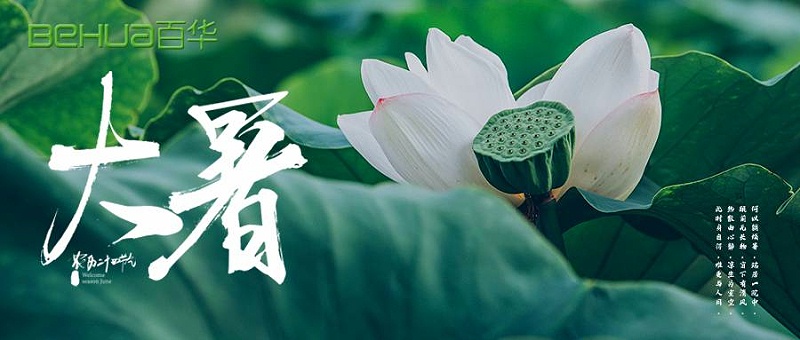 大暑|蟬聲嘹亮，夏意正濃