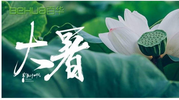 大暑|蟬聲嘹亮，夏意正濃